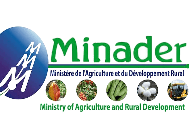 MINADER